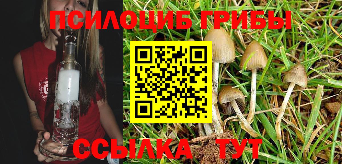 Псилоцибиновые грибы Cubensis Клин