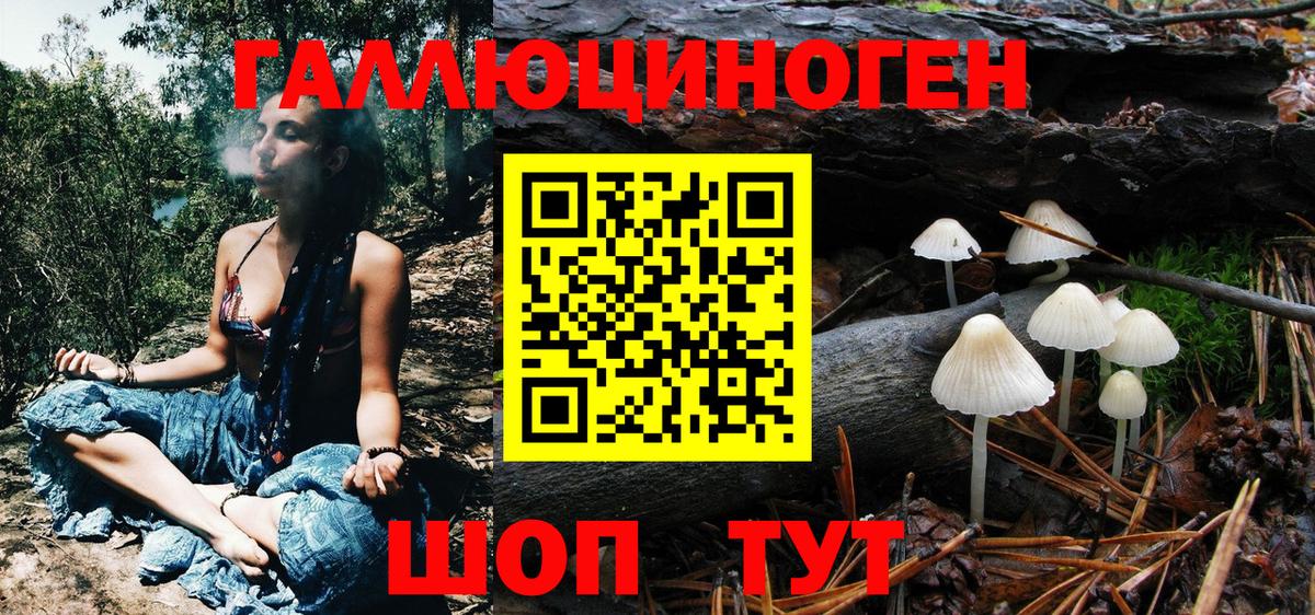 Псилоцибиновые грибы Cubensis  Вход с VPN  Клин  Галлюциногенные грибы MAGIC MUSHROOMS 